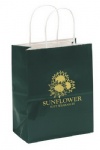 China Custom Gloss Paper Shopping Bags