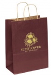 China Custom Printed Matte Shopping Bags