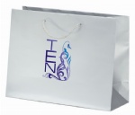 Factory Direct Custom Matte Shopping Bags