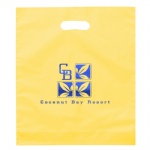 Printed Frosted Plastic Handle Bags